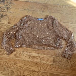Nude Sequined Crop Top